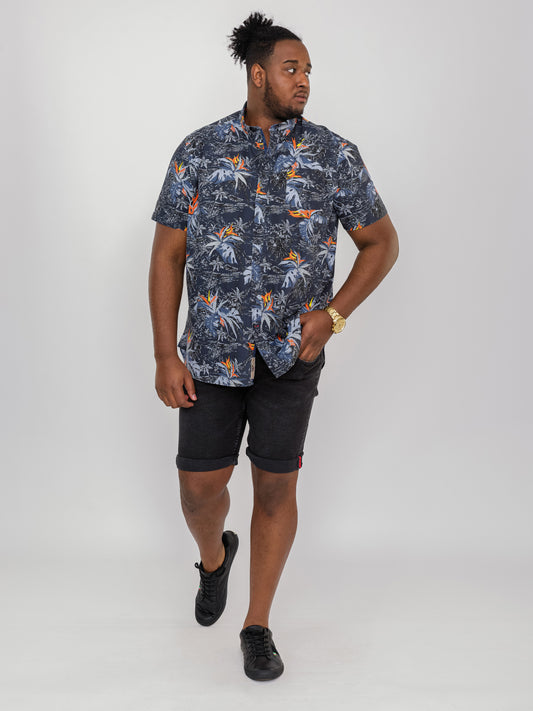 GENEVA -D555 Black Stretch Denim Shorts