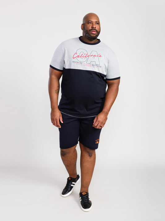 JUNIPER -D555 Grey Marl/Navy Blue California Printed Cut and Sew Panel T-Shirt