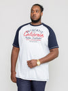 SPARROW -D555 Off White Marl California Surf Riders Raglan Sleeve Print T-Shirt