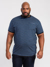 BEAMONT -D555 Navy Blue Stripe Jacquard Stripe T-Shirt