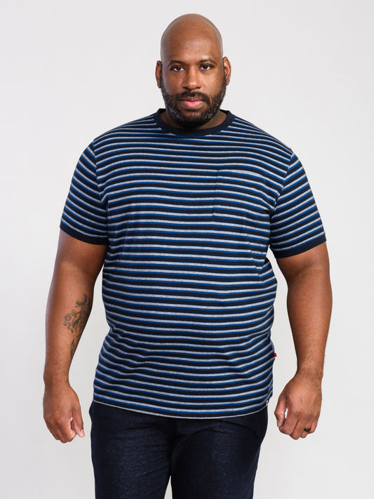 BEAMONT -D555 Navy Blue Stripe Jacquard Stripe T-Shirt