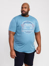 WOODHALL -D555 Pale Teal Green Official Licensed VW Camper Van Printed T-Shirt