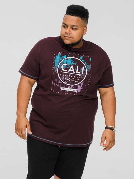 NOVA -D555 Plum Cali Surf Printed Crew Neck T-Shirt