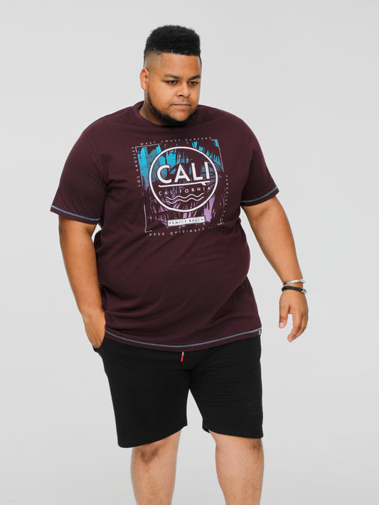 NOVA -D555 Plum Cali Surf Printed Crew Neck T-Shirt