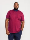 WIGBOROUGH -D555 Red/Navy Fine Stripe Jersey Polo with Chest Pocket