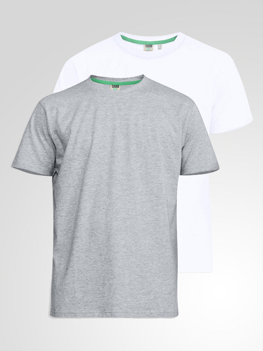 FENTON -D555 Grey/White Pack Of 2 Crew Neck T-Shirt